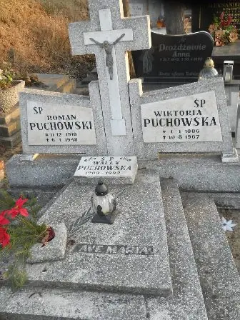 Zdjęcie grobu 4/308,309
