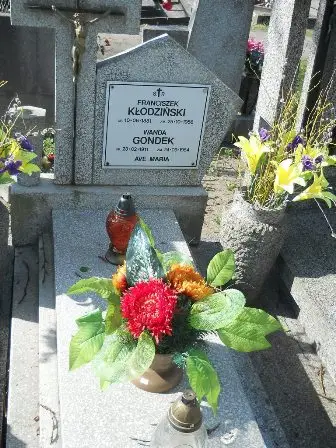 Zdjęcie grobu 14/17