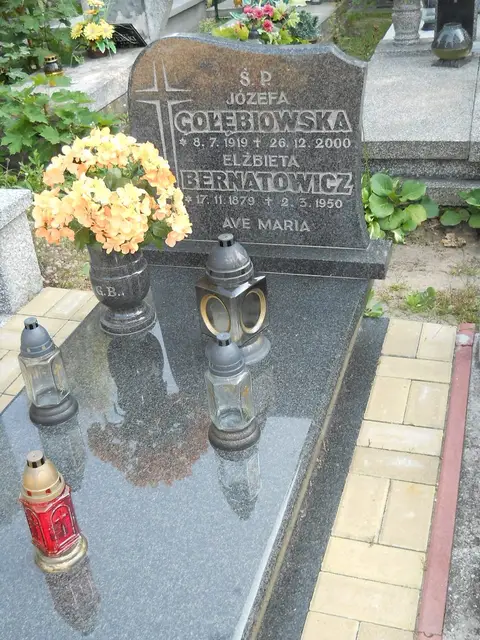 Zdjęcie grobu 14/27693