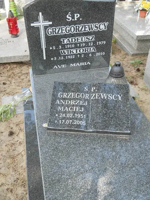 Zdjęcie grobu 7/11334