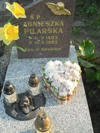 Zdjęcie grobu 7c/64