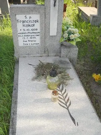 Zdjęcie grobu 20/61