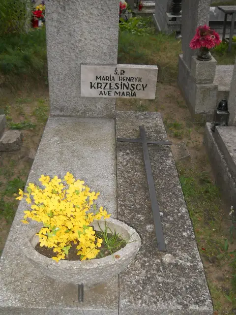 Zdjęcie grobu 20/29086