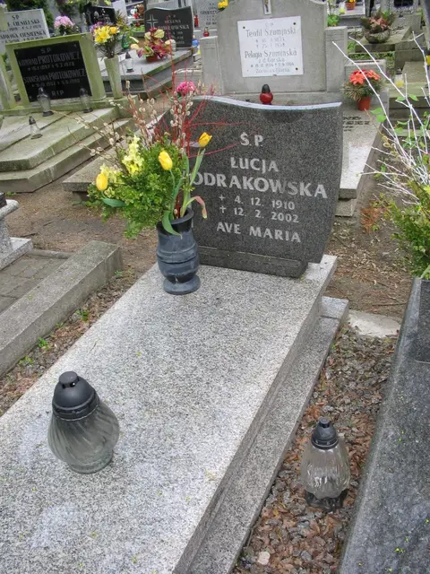 Zdjęcie grobu A/247024