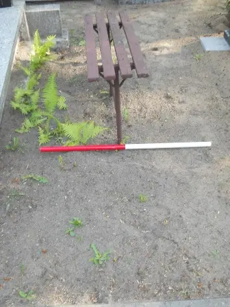 Zdjęcie grobu 24/100