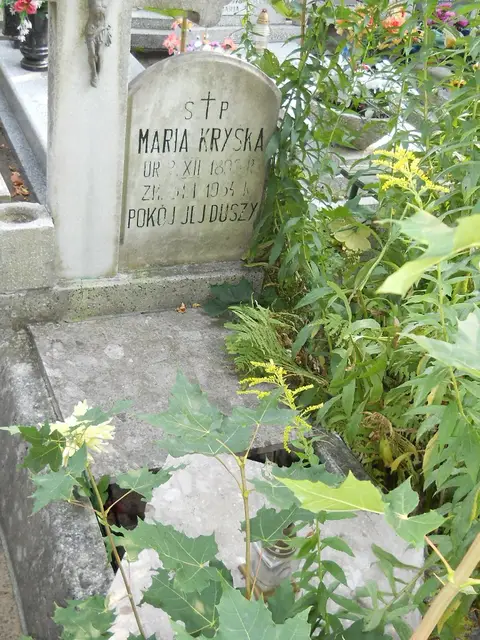Zdjęcie grobu 15/26602