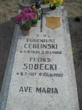 Zdjęcie grobu 22/100