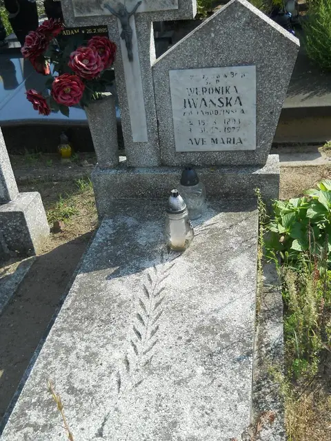 Zdjęcie grobu 14/27657