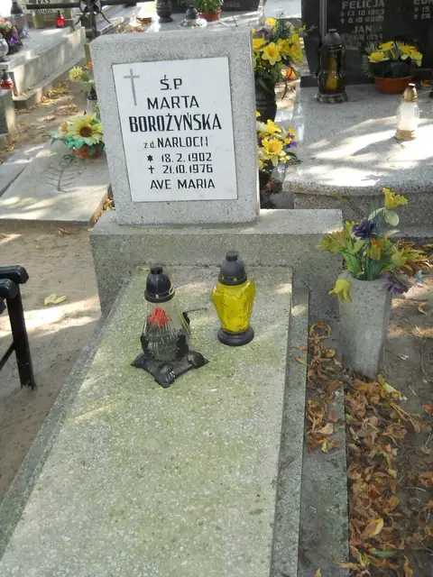 Zdjęcie grobu 19/28581