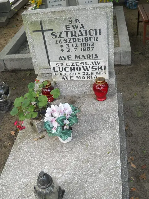Zdjęcie grobu 12/29564