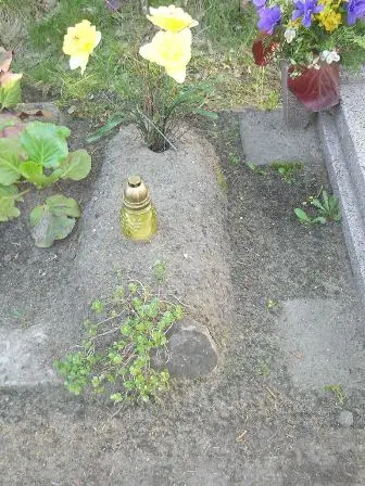 Zdjęcie grobu 7b/100