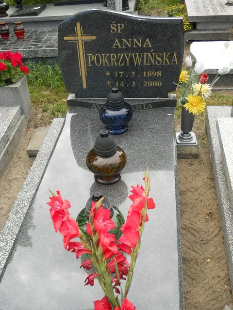 Zdjęcie grobu 6/24142
