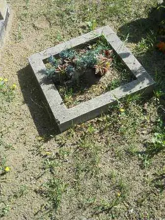 Zdjęcie grobu 29/100