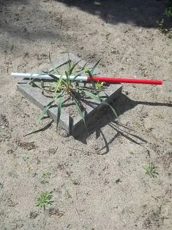 Zdjęcie grobu 35/100