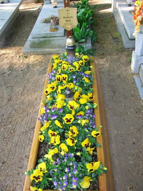 Zdjęcie grobu 15/26729