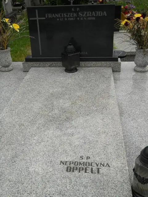 Zdjęcie grobu 7/11054