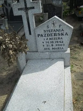 Zdjęcie grobu 27/100