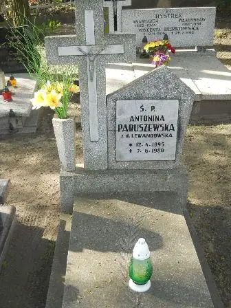 Zdjęcie grobu 27/100