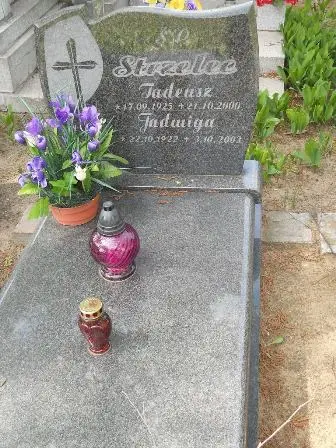 Zdjęcie grobu Ha/141