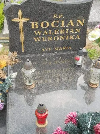 Zdjęcie grobu 44/100