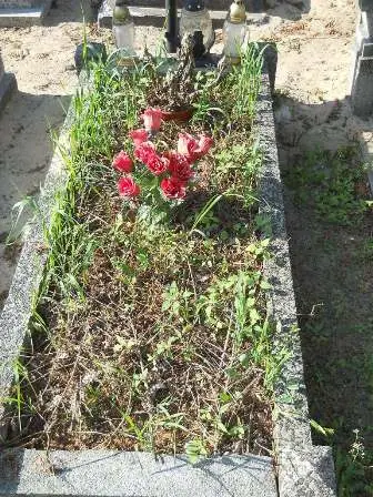 Zdjęcie grobu 20/81