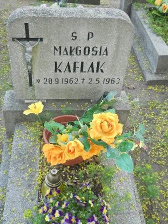 Zdjęcie grobu 7b/82