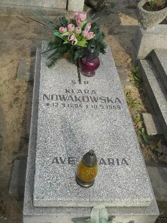 Zdjęcie grobu 9/100