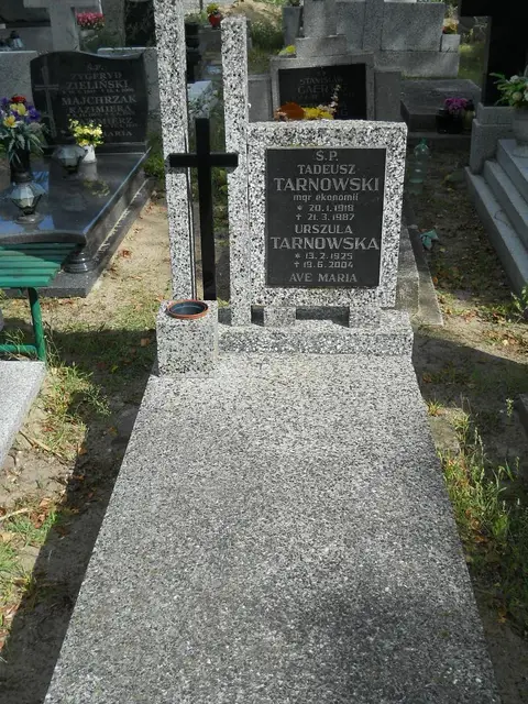 Zdjęcie grobu 6/24449
