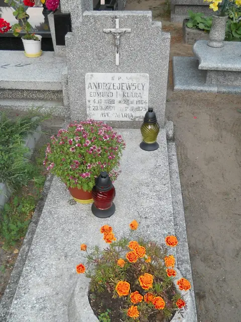 Zdjęcie grobu 17/29042