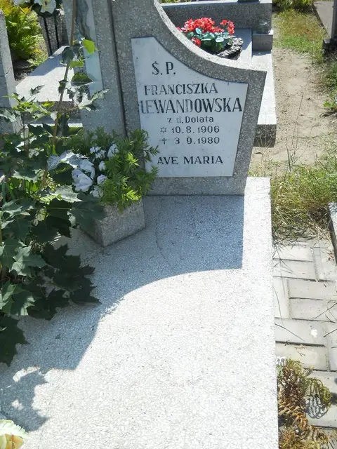 Zdjęcie grobu 14/27456