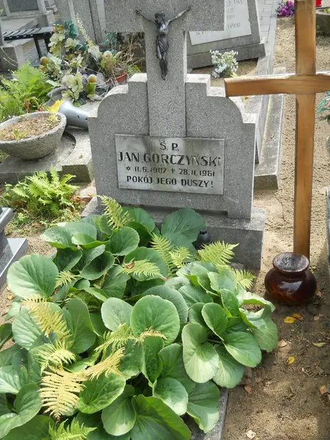 Zdjęcie grobu 16/26245