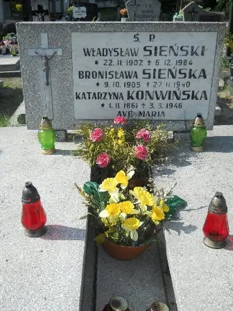Zdjęcie grobu 20/205,206