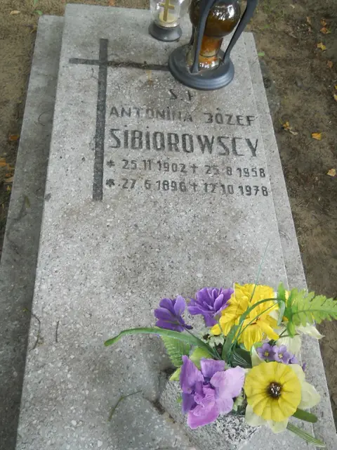 Zdjęcie grobu 12/29477