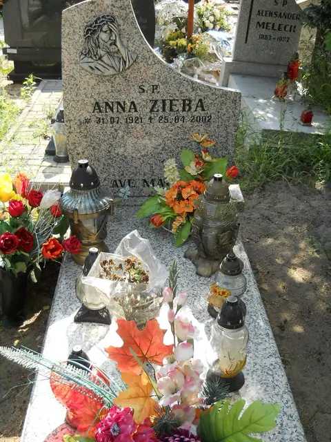 Zdjęcie grobu 18/28446
