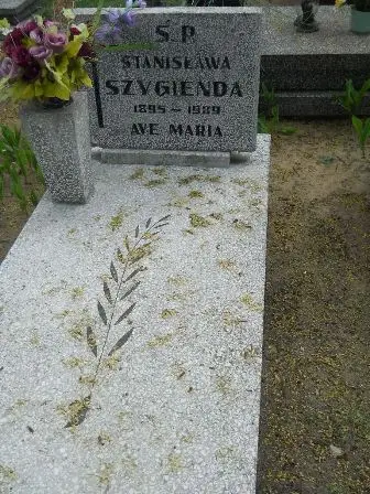 Zdjęcie grobu 32/100