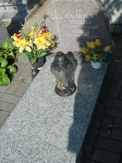 Zdjęcie grobu 7/12029