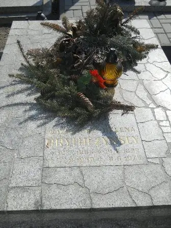 Zdjęcie grobu 3/100