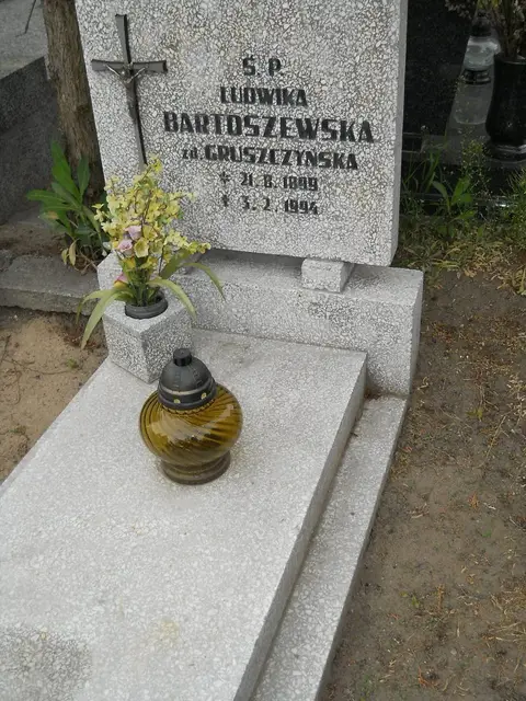 Zdjęcie grobu 7/11035