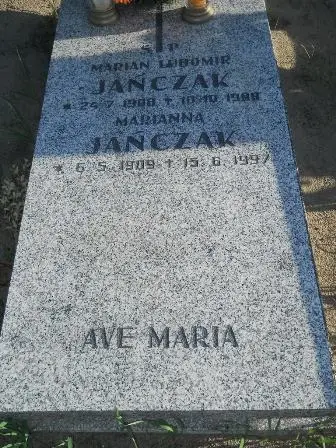 Zdjęcie grobu 45/234