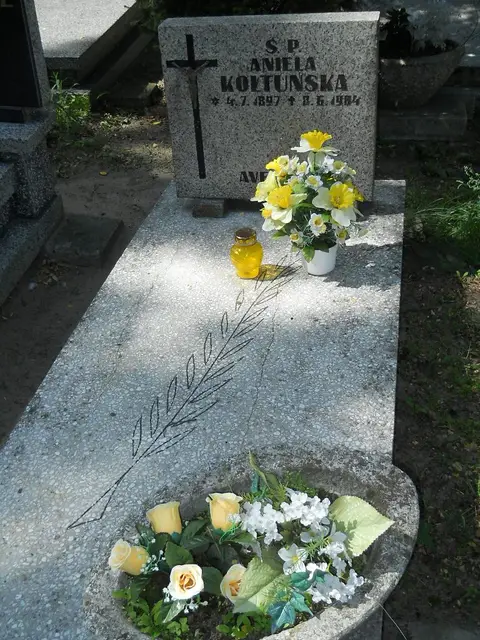 Zdjęcie grobu 6/24253