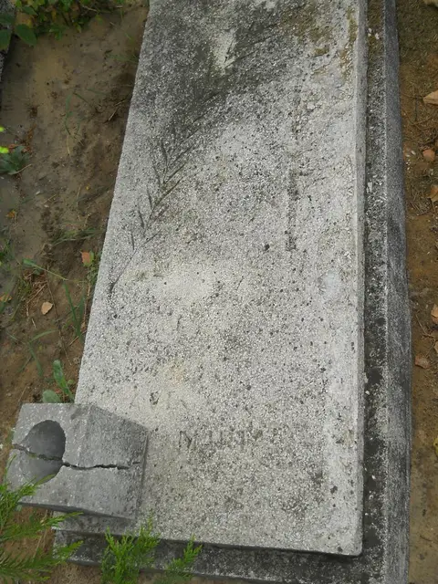 Zdjęcie grobu 16/26217