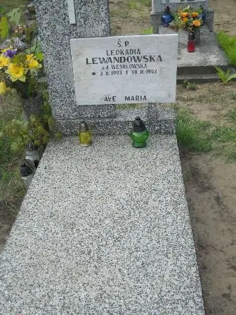 Zdjęcie grobu 34/100