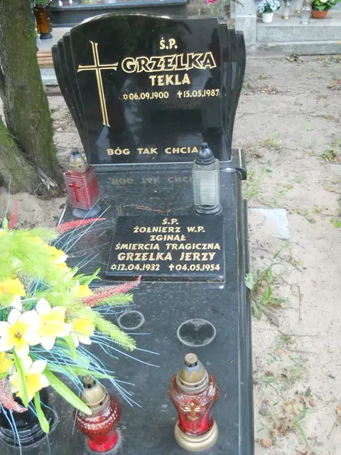 Zdjęcie grobu 13/29008