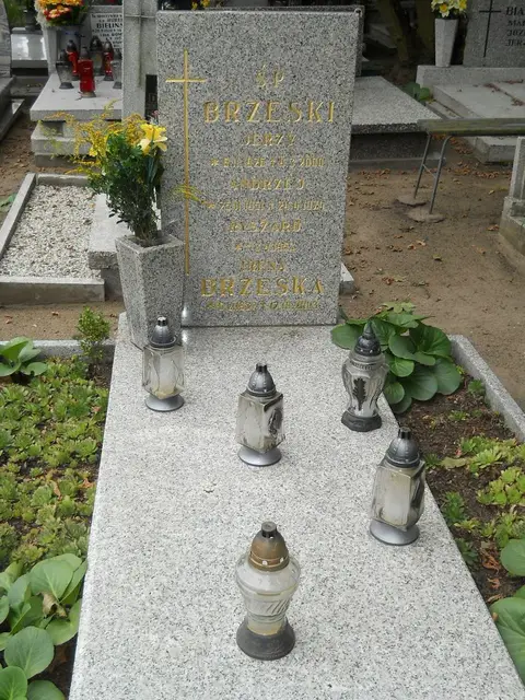 Zdjęcie grobu 13/323522