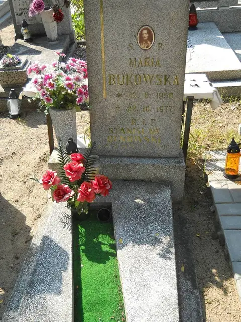 Zdjęcie grobu 14/27160