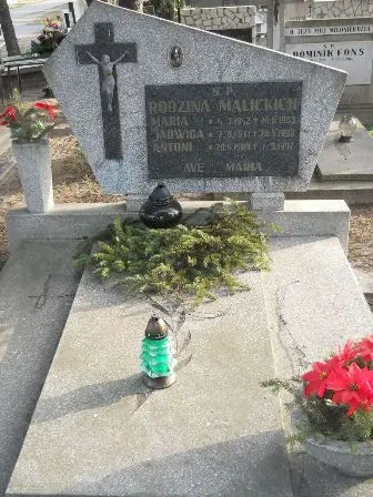 Zdjęcie grobu 10/100