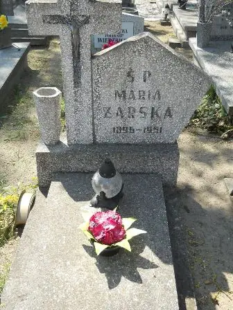 Zdjęcie grobu 11/147