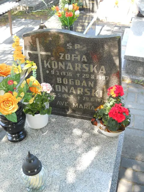Zdjęcie grobu 8A/10228
