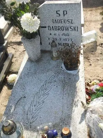 Zdjęcie grobu 8/60