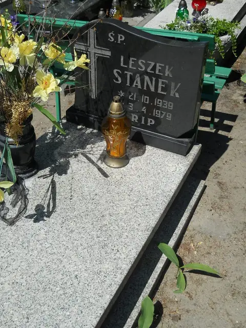 Zdjęcie grobu 8A/10213